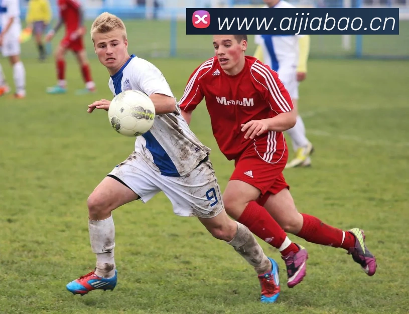 乐竞体育首页服务体系